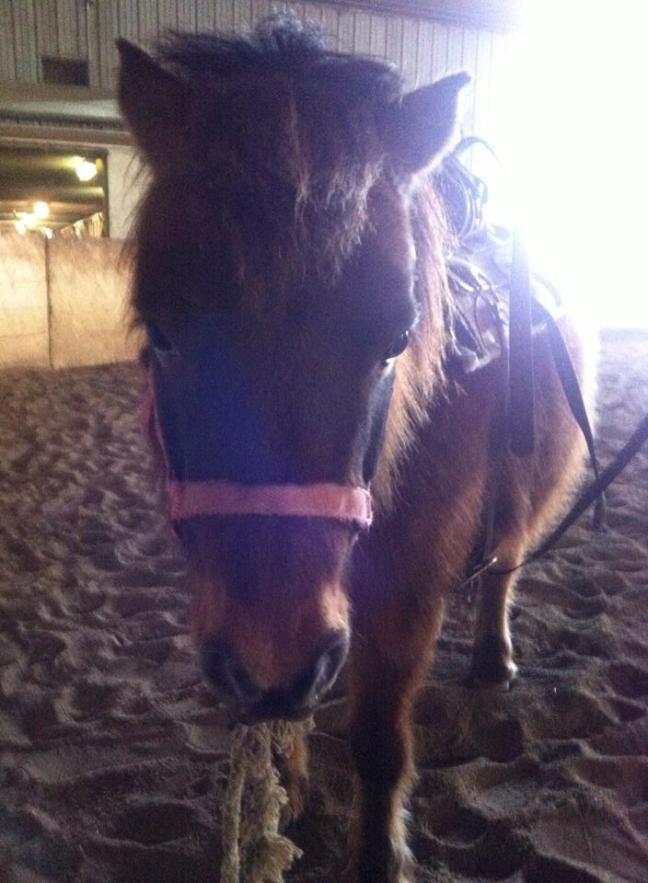 10933945_1528887714057610_3074764494813156066_n